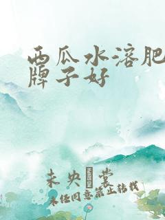 西瓜水溶肥哪个牌子好