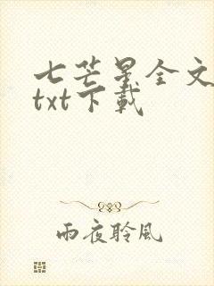 七芒星全文免费txt下载