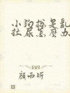 小狗总是乱拉屎拉尿怎么办