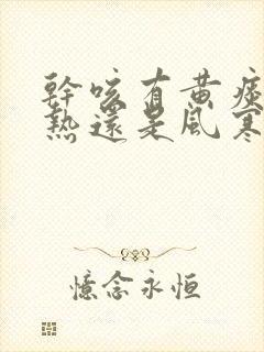 干咳有黄痰是风热还是风寒