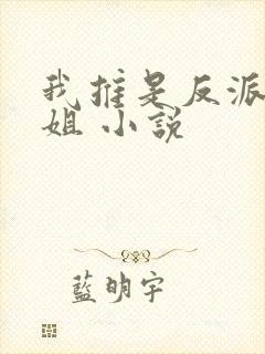 我推是反派大小姐 小说