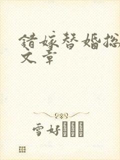 错嫁替婚总裁全文章