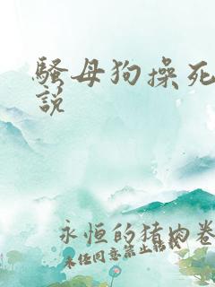 骚母狗操死你小说