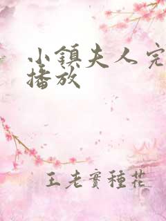 小镇夫人完整版播放