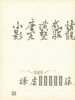小唐璜感情史电影完整版观看