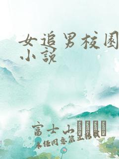 女追男校园言情小说