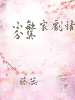小敏家剧情介绍分集