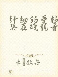 纤细的爱动漫全集在线观看免费