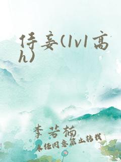 侍妾(1v1高h)