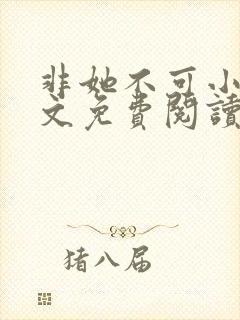 非她不可小说全文免费阅读沈遇