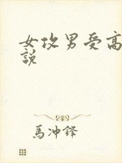 女攻男受高h小说
