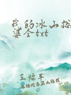 我的冰山总裁老婆全txt
