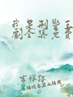 我是刑警王电视剧全集免费观看
