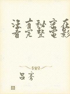 没有秘密在线观看完整电影