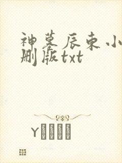 神墓辰东小说未删版txt