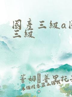 国产三级a国产三级