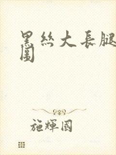 黑丝大长腿美女图