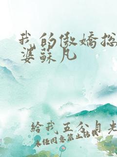 我的傲娇总裁老婆苏凡