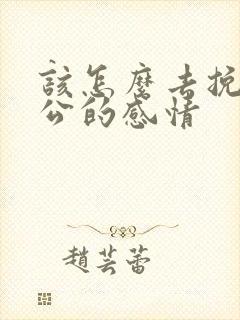 该怎么去挽回老公的感情