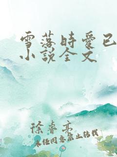雪落时爱已落幕小说全文 雪落时爱已落幕小说全文