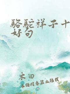 骆驼祥子十三章好句 骆驼祥子十三章好句