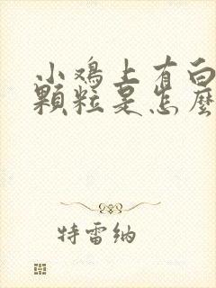 小鸡上有白色小颗粒是怎么回事