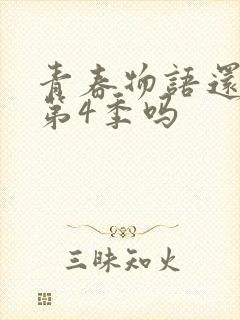 青春物语还会出第4季吗