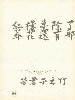红楼梦除了黛玉葬花还有哪些故事