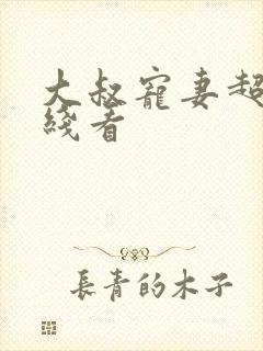 大叔宠妻超甜在线看