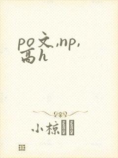 po文,np,高h
