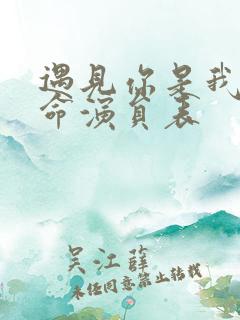 遇见你是我的宿命演员表