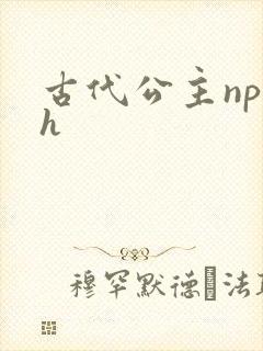 古代公主np高h