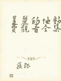 美丽的他动漫免费观看全集