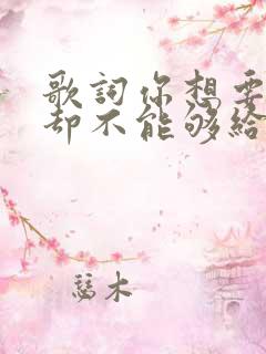 歌词你想要的我却不能够给你我所有
