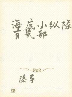 海底小纵队一共有几部