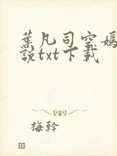 叶凡司空嫣然小说txt下载