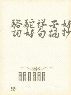 骆驼祥子好字好词好句摘抄及感悟