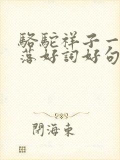 骆驼祥子一起一落好词好句