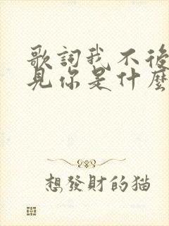 歌词我不后悔遇见你是什么歌名