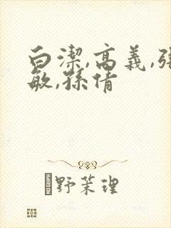 白洁,高义,张敏,孙倩