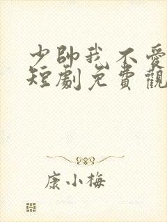少帅我不爱你了短剧免费观看剧情介