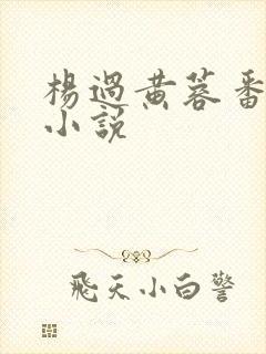 杨过黄蓉番外篇小说