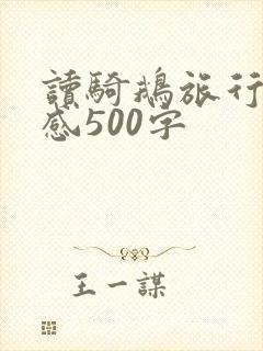 读骑鹅旅行记有感500字