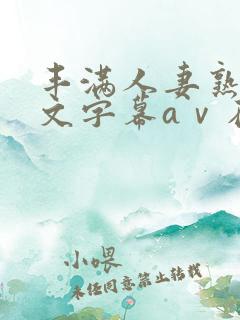 丰满人妻熟女中文字幕aⅴ在线
