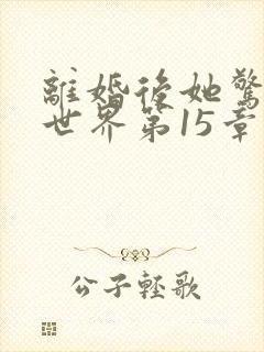 离婚后她惊艳了世界第15章
