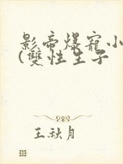影帝爆宠小骚妻(双性生子