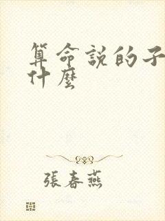算命说的子运是什么