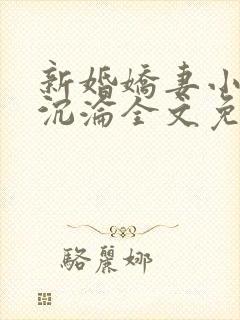 新婚娇妻小诗的沉沦全文免费阅读