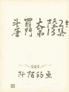 斗罗大陆2绝世唐门第13集