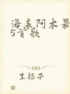 海来阿木最火的5首歌